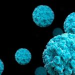 Норовирус: особенности, пути передачи и помощь при заражении